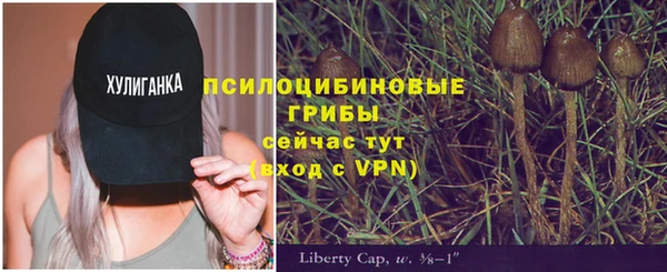 спайс Баксан